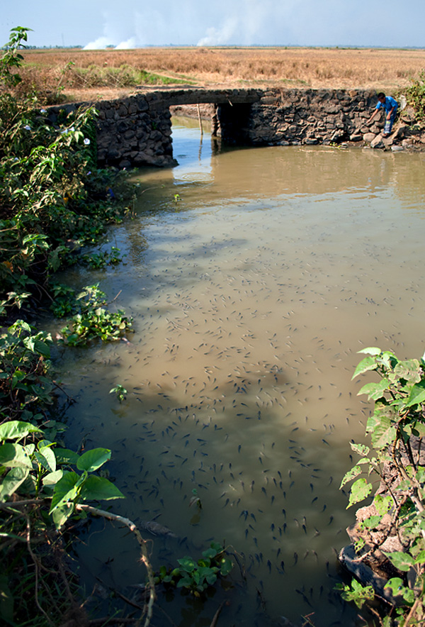 asik dapet ikan banyak by je 